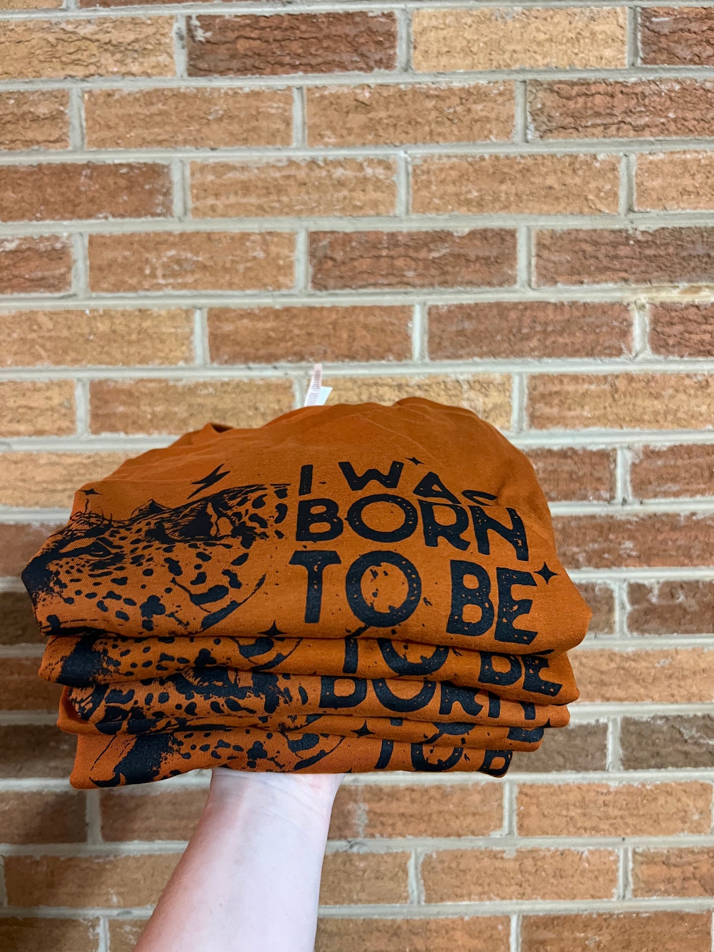 Born To Be Wild (Unitil 9PM)