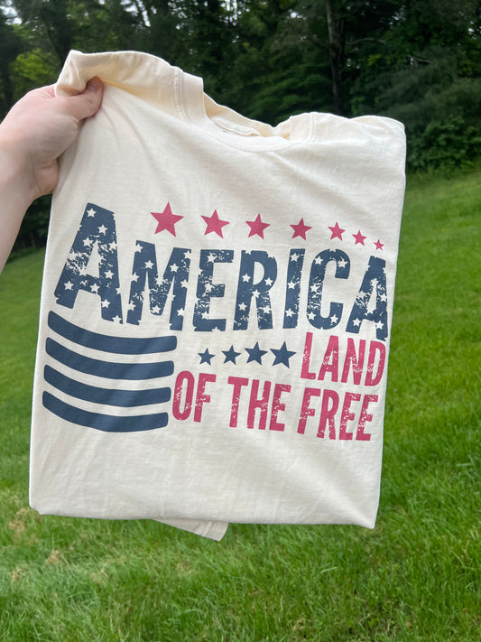 Land Of The Free Vintage Flag Tee